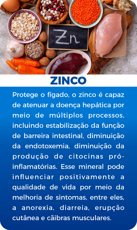 Zinco 06